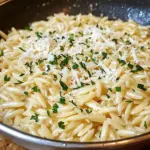 Garlic Parmesan Orzo Pasta Recipe